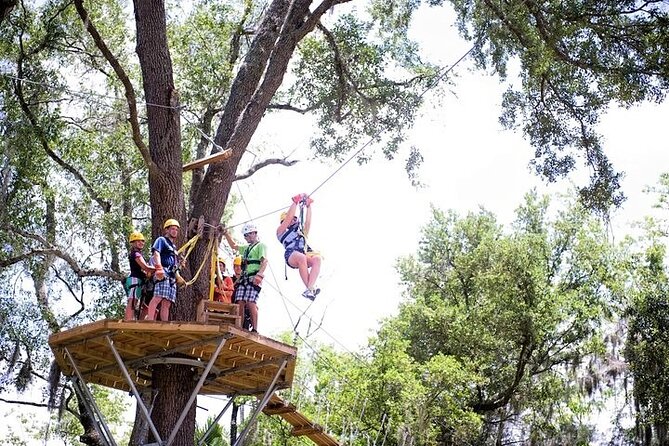 Treetop Express Zip Line Tour with 5 Zip Line Flights & 2 Sky Bridges Included - Five Flights That Build Your Confidence