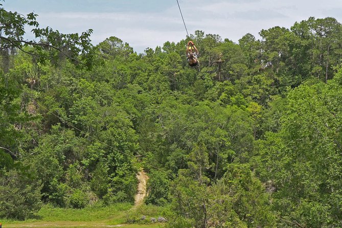 Treetop Express Zip Line Tour with 5 Zip Line Flights & 2 Sky Bridges Included - The Final Zip Over Gator Lake