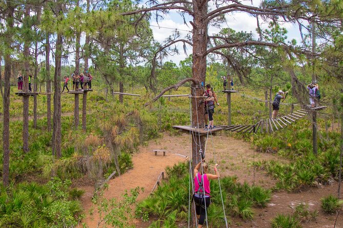 TreeUmph Adventure Course - Key points to know before you book