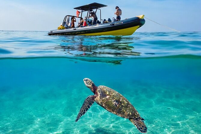 Turtle Canyon Snorkel Adventure - Small Group 6 Passengers - A small boat makes Turtle Canyon feel different