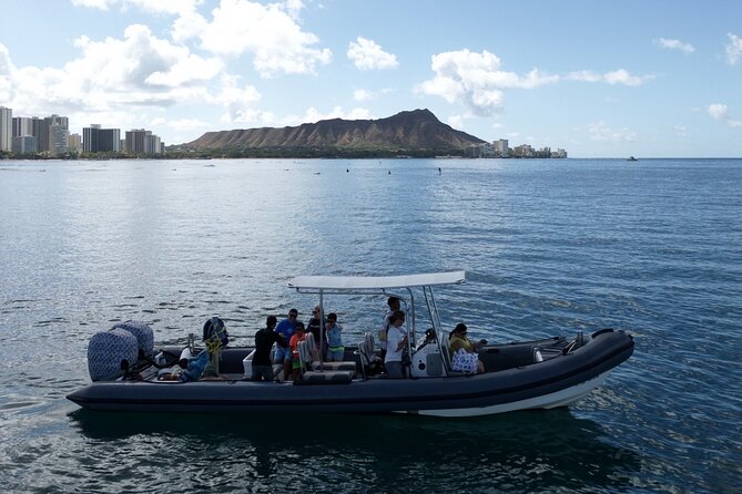 Turtle Canyon Snorkel: Semi Private Boat Tour - Is the $109 price fair?