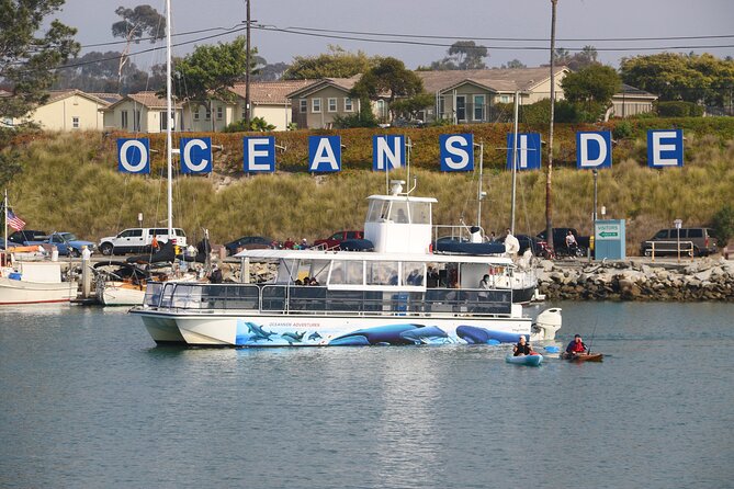 Two-Hour Luxury Whale Watching Tour from Oceanside - The naturalist narration adds meaning