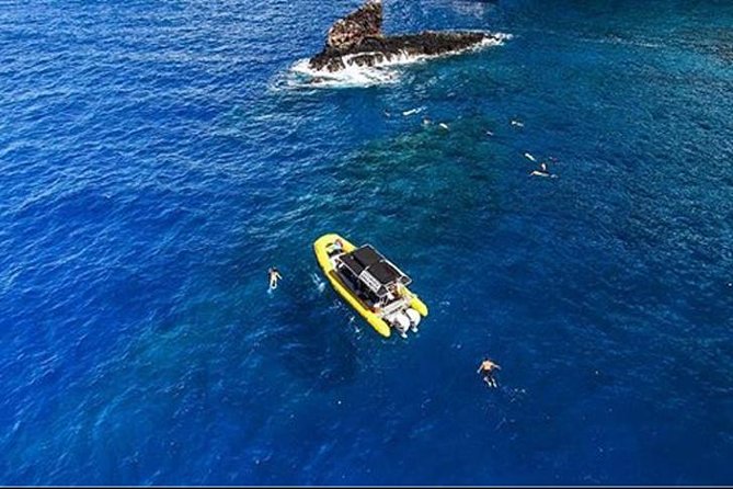 Ultimate 4 Hour Lanai Snorkel and Dolphin Encounter - The second stop: turtles, sharks, and a man-made reef