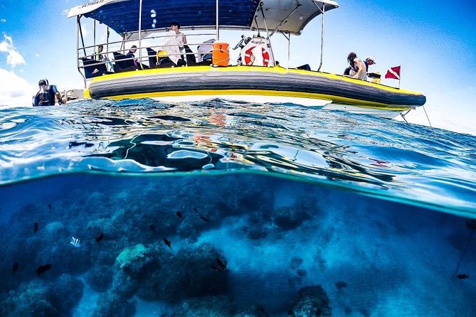 Ultimate 4 Hour Lanai Snorkel and Dolphin Encounter - A crew that mixes fun with safety