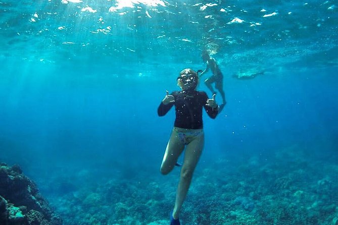 Ultimate 4 Hour Lanai Snorkel and Dolphin Encounter - Food, drinks, gear, and what to bring