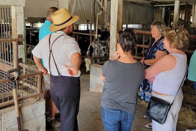 Unique Amish Immersion in Lancaster - The drive through Lancaster County farmland