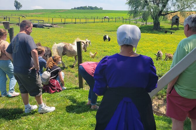 Unique Amish Immersion in Lancaster - Ending at an Amish-owned creamery