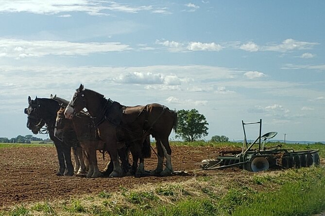 Unique Amish Immersion in Lancaster - Is $99 a fair price?