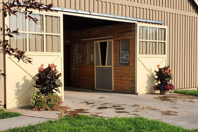 Unique Horse Farm Tours with Insider Access to Private Farms - The Thoroughbred Center and young horses in motion