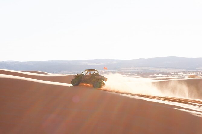 UTV Dune Cruise and Surf at Coral Pink Sand Dunes - Why this two-hour Coral Pink Sand Dunes tour works