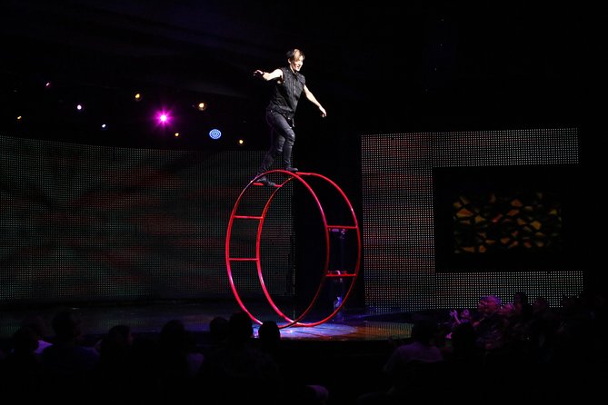 V - The Ultimate Variety Show at Planet Hollywood Resort and Casino - Key points before you book