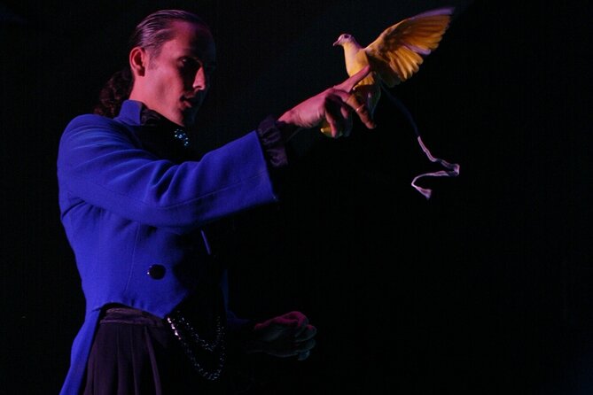 V - The Ultimate Variety Show at Planet Hollywood Resort and Casino - Making an evening at Planet Hollywood
