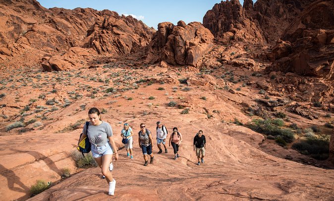 Valley of Fire Guided Hike from Las Vegas - Why Valley of Fire makes a better break than another Las Vegas attraction