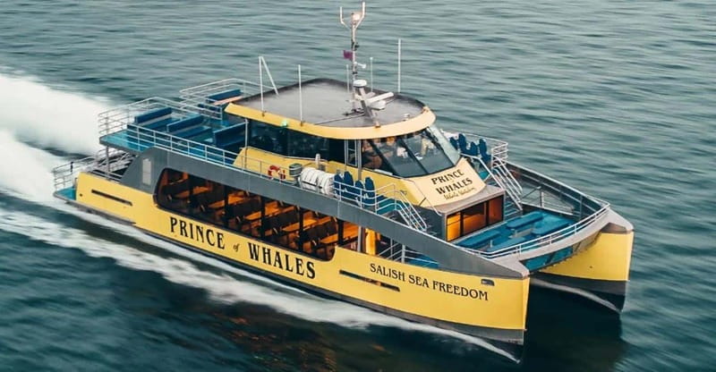 Vancouver: Covered Whale Watching Adventure with Free Photos - Commentary that adds meaning to the view