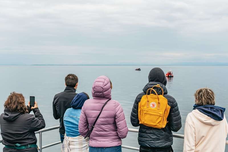 Vancouver: Covered Whale Watching Adventure with Free Photos - Half-day or sunset timing