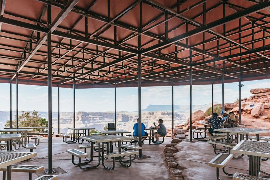 Vegas: Grand Canyon, Hoover Dam, Skywalk Option, & Two Meals - The Joshua Tree Forest drive