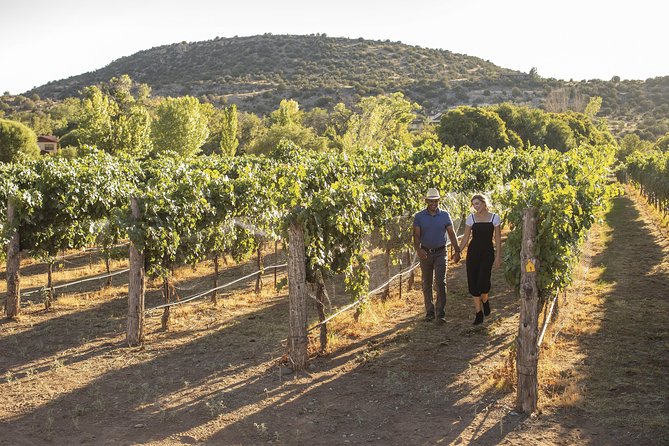 Visit 4 Wineries in Limo Party Bus-Includes Charcuterie Lunch! - Starting at Dancing Apache Road