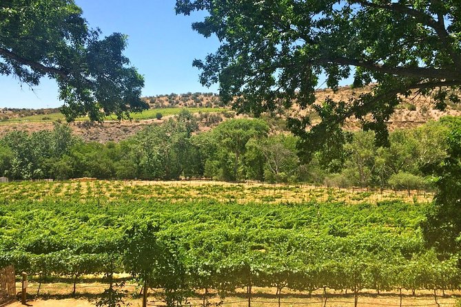Visit 4 Wineries in Limo Party Bus-Includes Charcuterie Lunch! - Javelina Leap and the Barrel Room