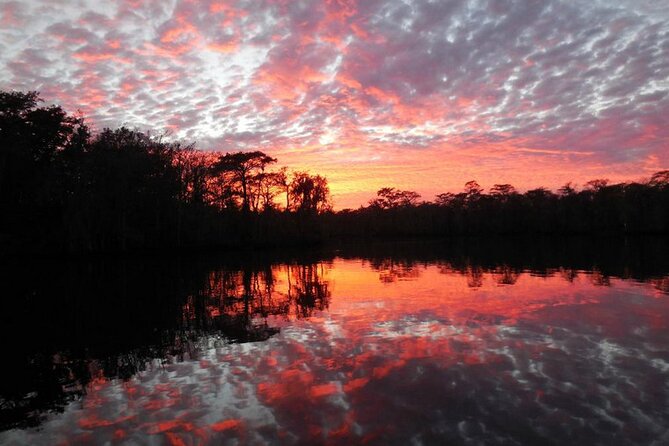 Waccamaw River Nature and Wildlife Tour - Agnes, Abigail, and the human side of the tour