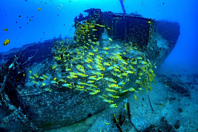 Waikiki: Atlantis Submarine Adventure - Who will enjoy this submarine ride?