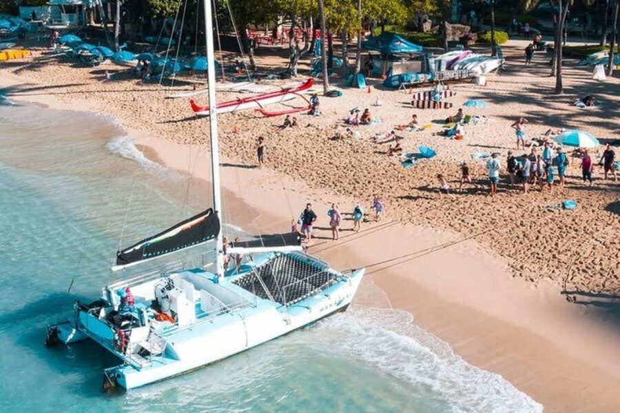 Waikiki Beach: Turtle Snorkeling and Sailing on Hāwea - What the Turtle Canyon Stop Is Like