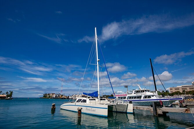 Waikiki Catamaran Snorkel Sail with Lunch: Turtles Guaranteed - My recommendation for Turtle Canyon