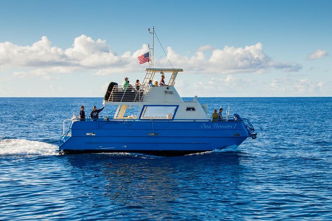 Waikiki Deluxe Catamaran Whale Watch - Drinks, snacks, lunch, and the onboard mood