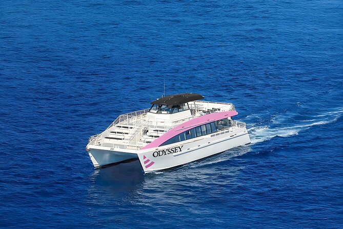 Waikiki: Friday Night Fireworks Catamaran Cruise - Who will enjoy this Friday cruise most?