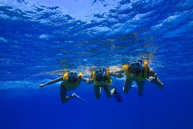 Waikiki, Hawaii: Turtle Canyon Snorkel Excursion - Getting ready with a short snorkel lesson