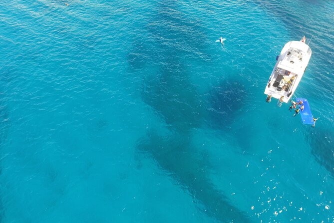Waikiki, Hawaii: Turtle Canyon Snorkel Excursion - Who should choose this excursion?