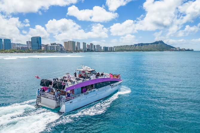 Waikiki, Oahu 2-Hour Whale Watching: Guaranteed Sightings - Leaving Waikiki for the winter whale grounds
