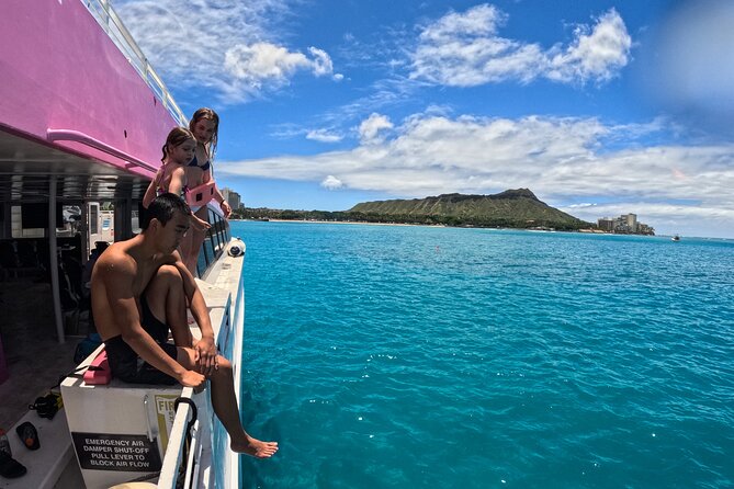 Waikiki, Oahu 2-Hour Whale Watching: Guaranteed Sightings - Dolphins, turtles, and other ocean life