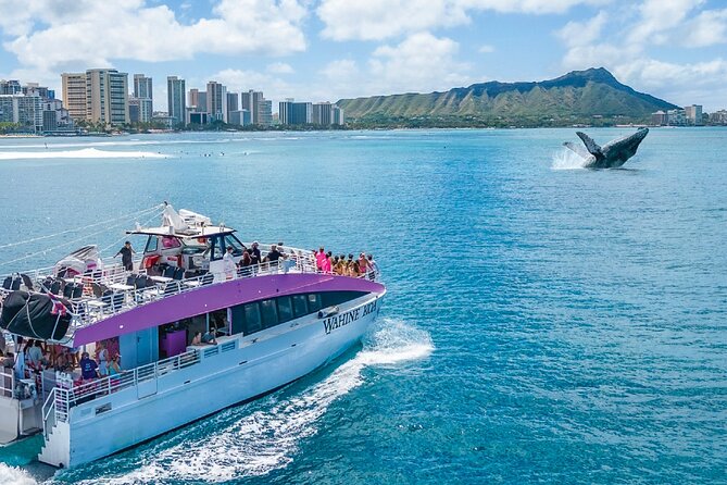 Waikiki, Oahu 2-Hour Whale Watching: Guaranteed Sightings - A practical look at the whale guarantee