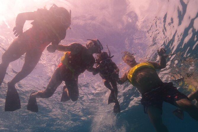 Waikiki: Turtle Canyon Snorkel - Who will enjoy this tour most?