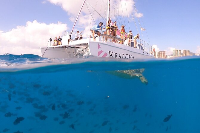 Waikiki: Turtle Canyon Snorkel - Is the $68.60 price good value?