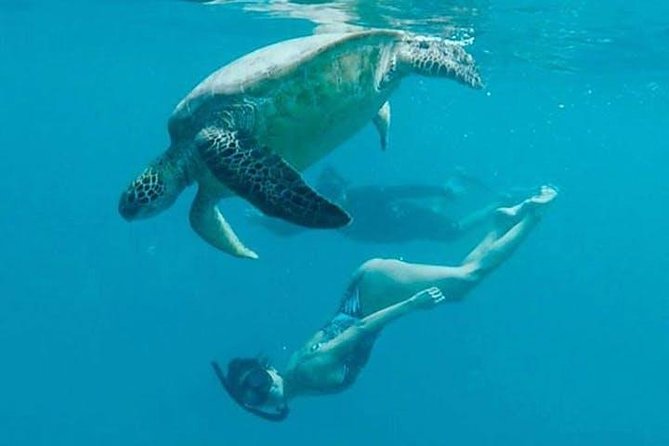 Waikiki Turtle Snorkel and Sail on Hawea Catamaran - Sailing from Waikiki to Turtle Canyon