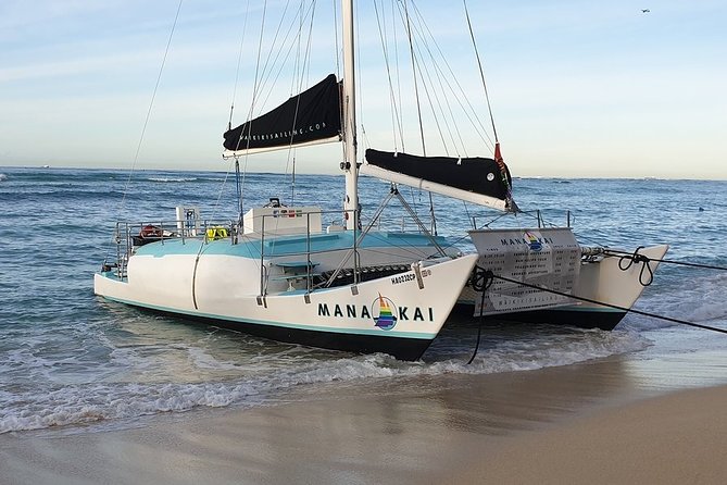 Waikiki Turtle Snorkel and Sail on Hawea Catamaran - Is the Hawea Turtle Snorkel worth it?