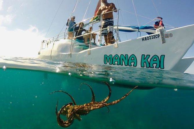 Waikiki Turtle Snorkel and Sail on Hawea Catamaran - What you see below the surface
