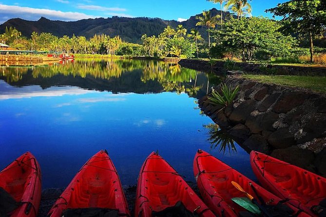 Wailua River & Waterfalls Kayak Tour: Expert-Guided Adventure - Why the Wailua River is the heart of this trip