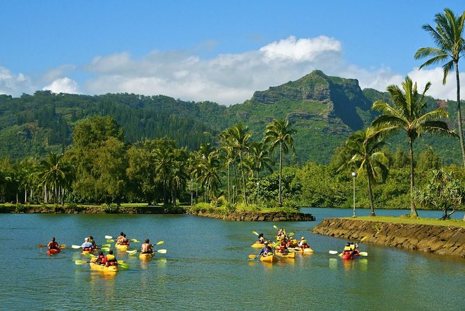 Wailua River & Waterfalls Kayak Tour: Expert-Guided Adventure - Lunch beside the falls