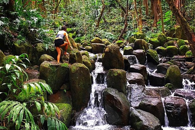 Wailua River & Waterfalls Kayak Tour: Expert-Guided Adventure - Is $145.86 a fair price?