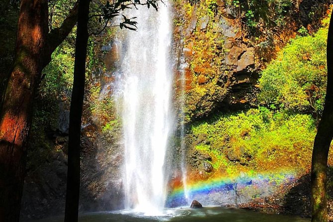 Wailua River & Waterfalls Kayak Tour: Expert-Guided Adventure - Who should book this Wailua River adventure?