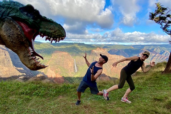 Waimea Canyon Downhill Bike Ride - Na Pali Coast views without a long hike