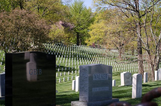 Washington DC: Arlington Nat. Cemetery Ticket & Tram Tour - Why the tram makes Arlington easier to grasp