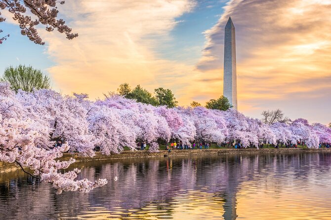 Washington DC Day Tour from New York City - Key points at a glance