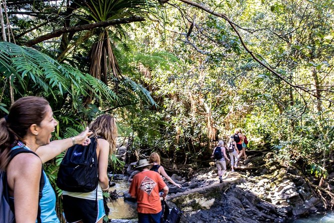 Waterfall & Rainforest Hiking Adventure with Hotel Pickup - How the small group changes the day