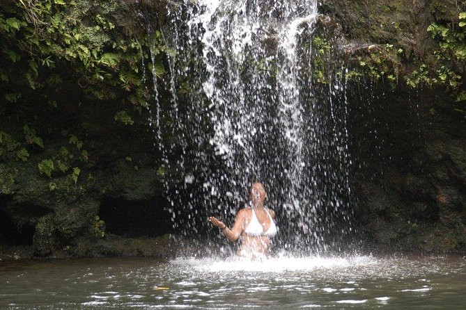 Waterfall & Rainforest Hiking Adventure with Hotel Pickup - A rainforest hike with a local guide