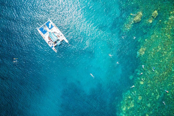West Maui Half Day Snorkel from Ka’anapali Beach - Key points to know before you book
