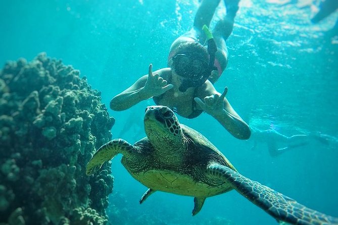 West Maui Half Day Snorkel from Ka’anapali Beach - What the water time feels like