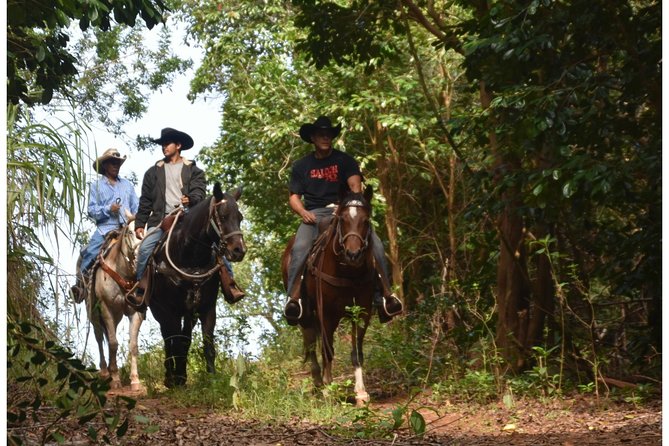 West Maui Mountain Waterfall and Ocean Tour via Horseback - Climbing the West Maui mountain trails